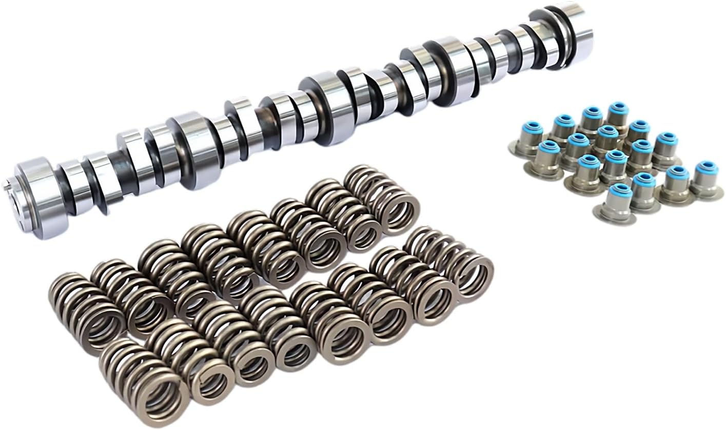 GENERIC BTR31218110 Truck Camshaft & Valve Seals & Valve Springs Kit Fits for Chevrolet Replace parts