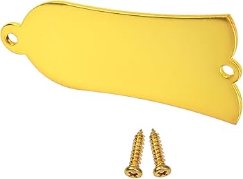 Amazon | Yootones メタル2穴ギター トラス ロッドカバー Gibson Les