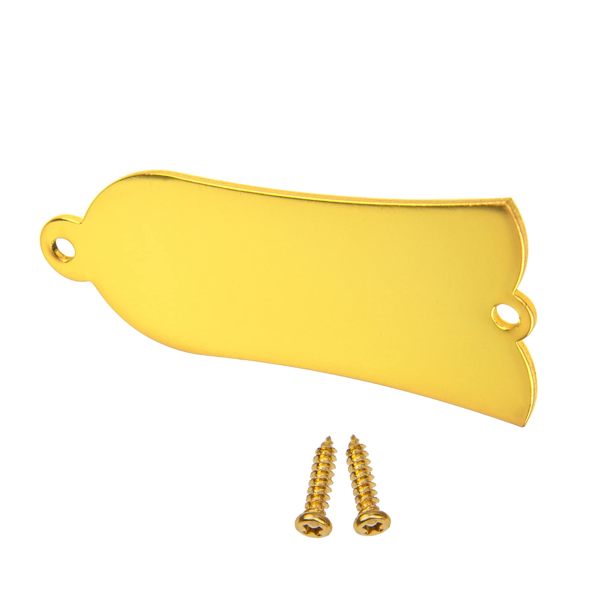 Amazon | Yootones メタル2穴ギター トラス ロッドカバー Gibson