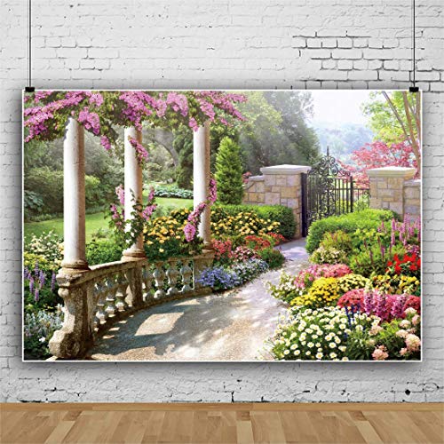 Fondo fotográfico Vinilo 6x3 m Colorido DORCEV miniatura 3