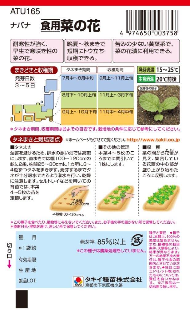 Amazon | タキイ種苗 野菜種 ナバナ 食用菜の花 | 野菜