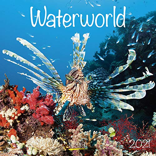 Stop basura: La verdad sobre reciclar Stop basura: La verdad sobre reciclar