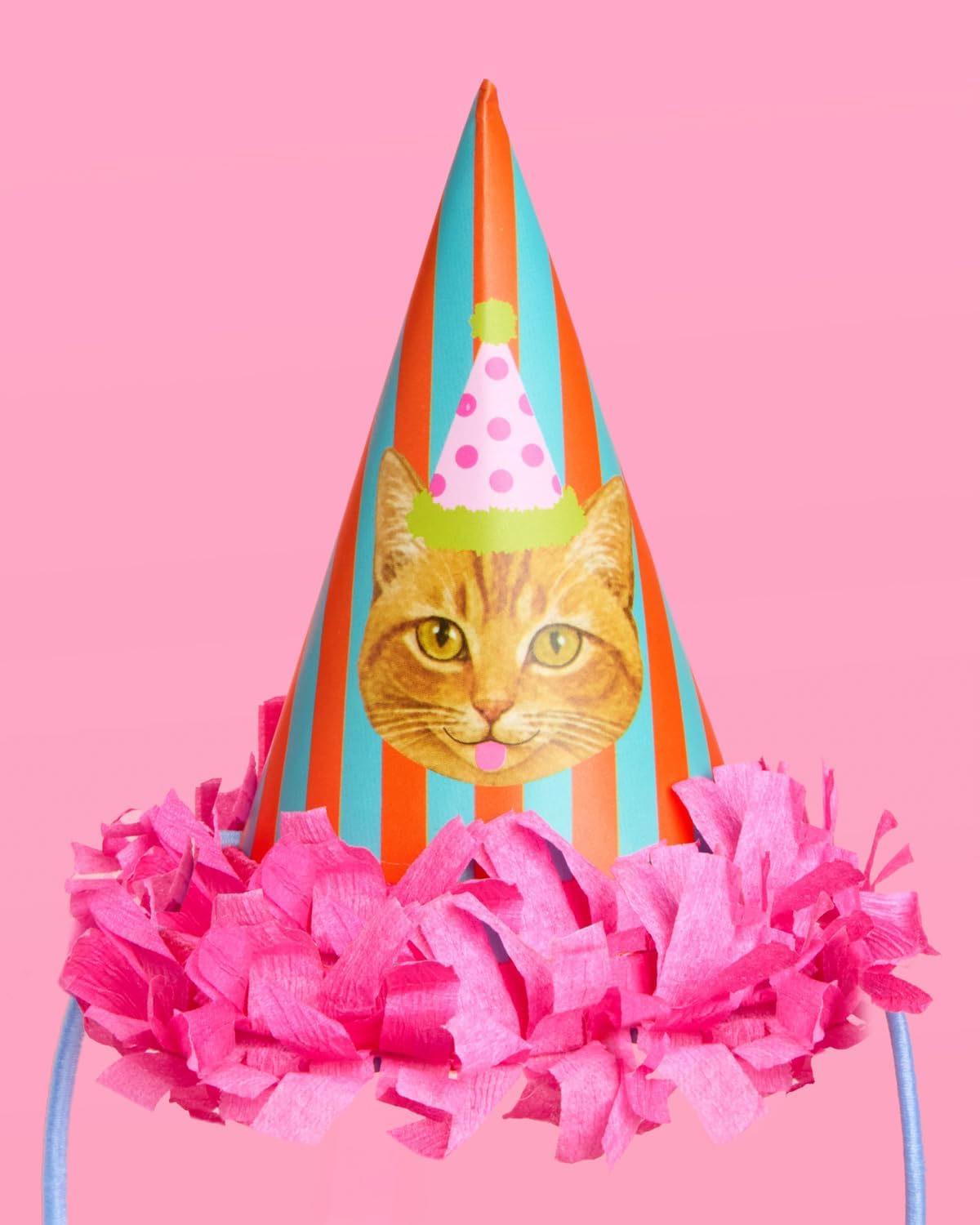 xo, Fetti Cat Mini Party Hats - 10 Mini Hats | Kitty Birthday Party, Kids Party Favors, Striped Rainbow Decor, Funny Animal, Pink, Girly