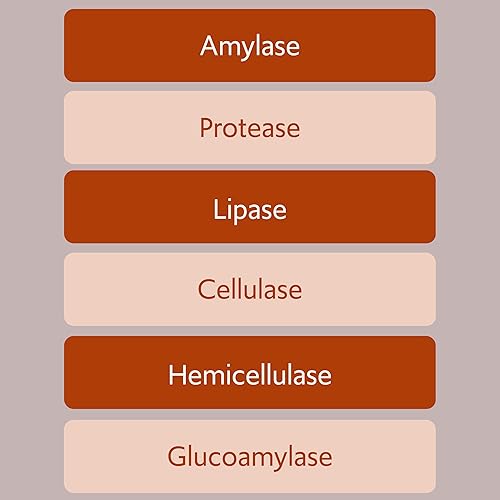 Miniatura 4 de New Bacillus B3 Complejo probiótico y enzimas – 100% organismos a base de esporas – SBO – Mejor supervivencia – Bacillus coagulans, Bacillus