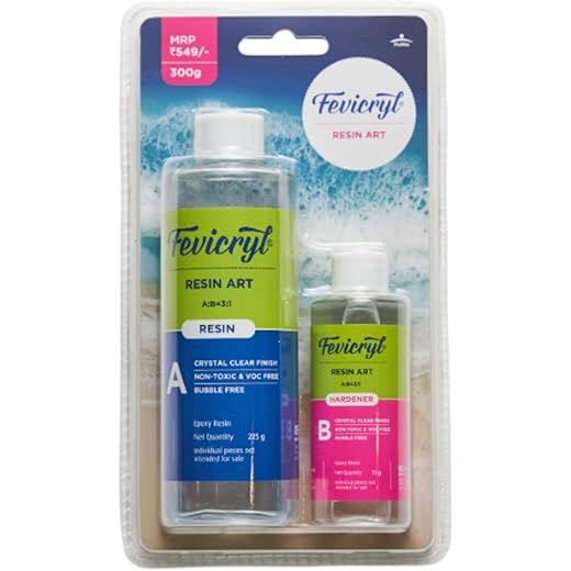 Fevicryl Epoxy Resin Art Kit 300g
