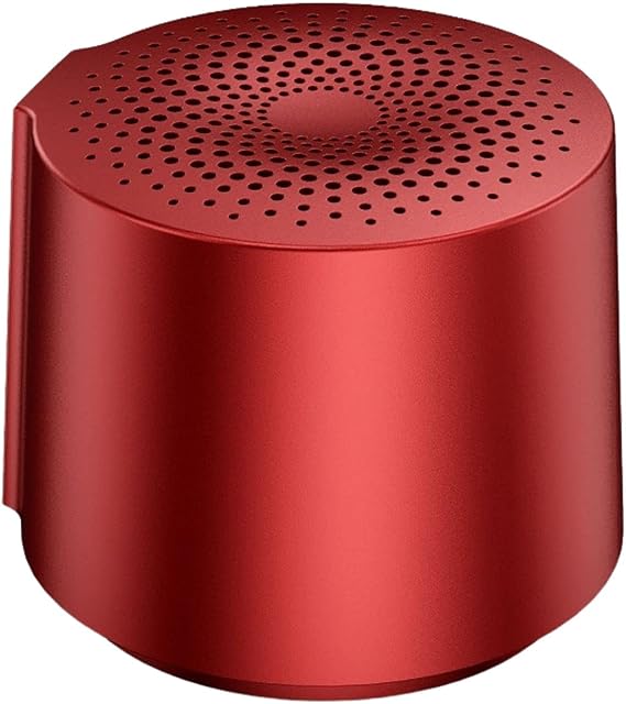 HOAIYO Portable Bluetooth Speaker with 6H Playtime, TWS Wireless Pairing to Play 2 Speaker Together, Microphone, for Outdoor, Travel, Home