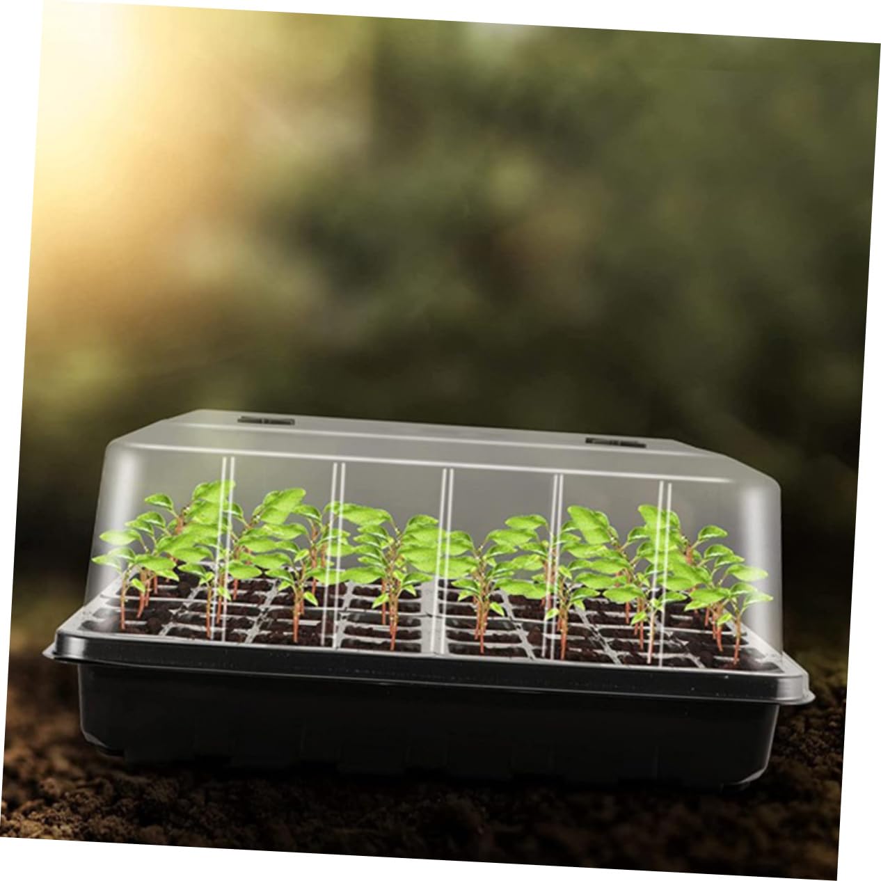 Toddmomy Plateau de Germination avec Dôme, 1 Lot en Plastique pour Semis