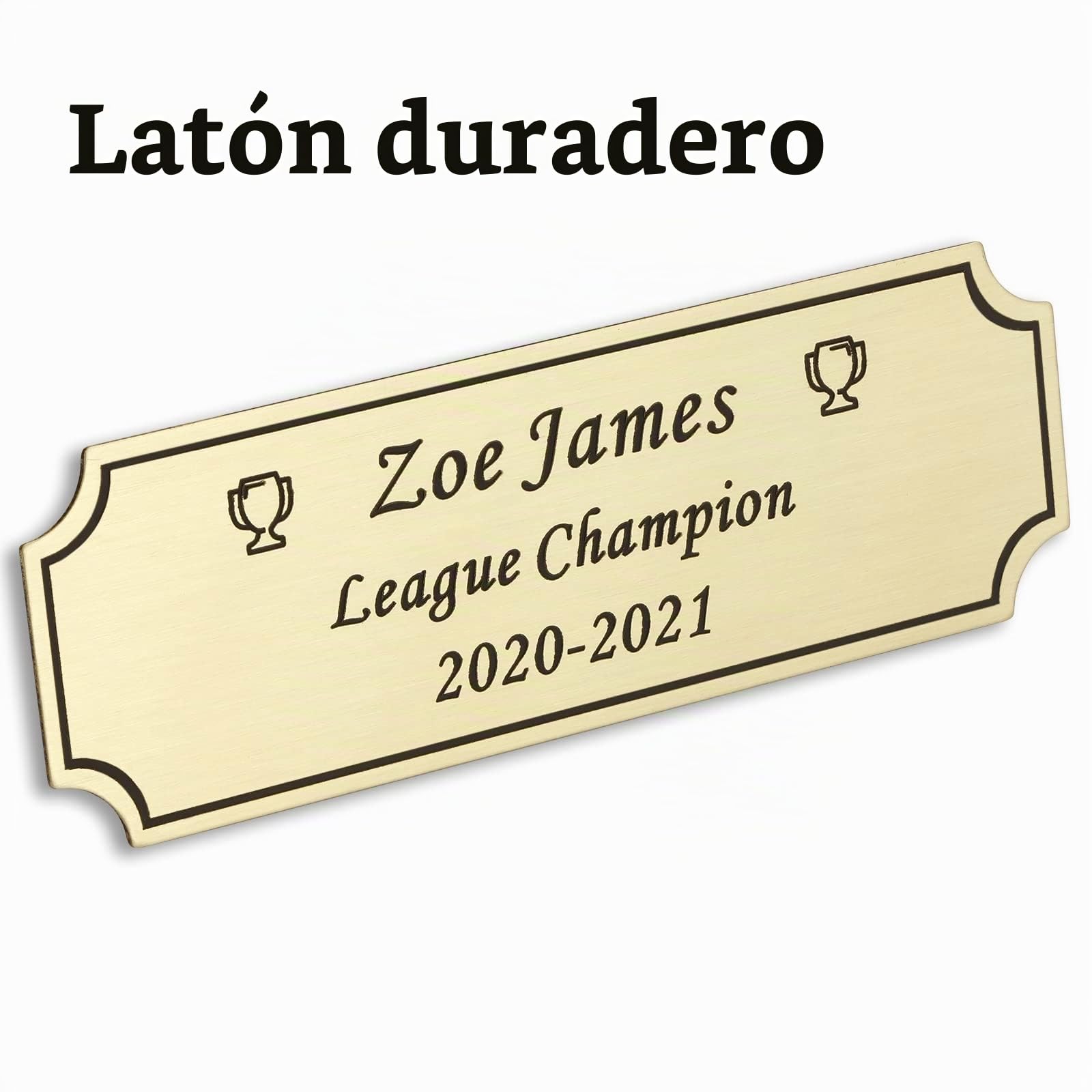 2.5 x 7.6 CM Placa Grabada Elegante Personalizable, Placa de Nombre Conmemorativa Personalizada para Trofeos, Marcos, Urnas, Placa Grabada con Láser de Latón o Acero