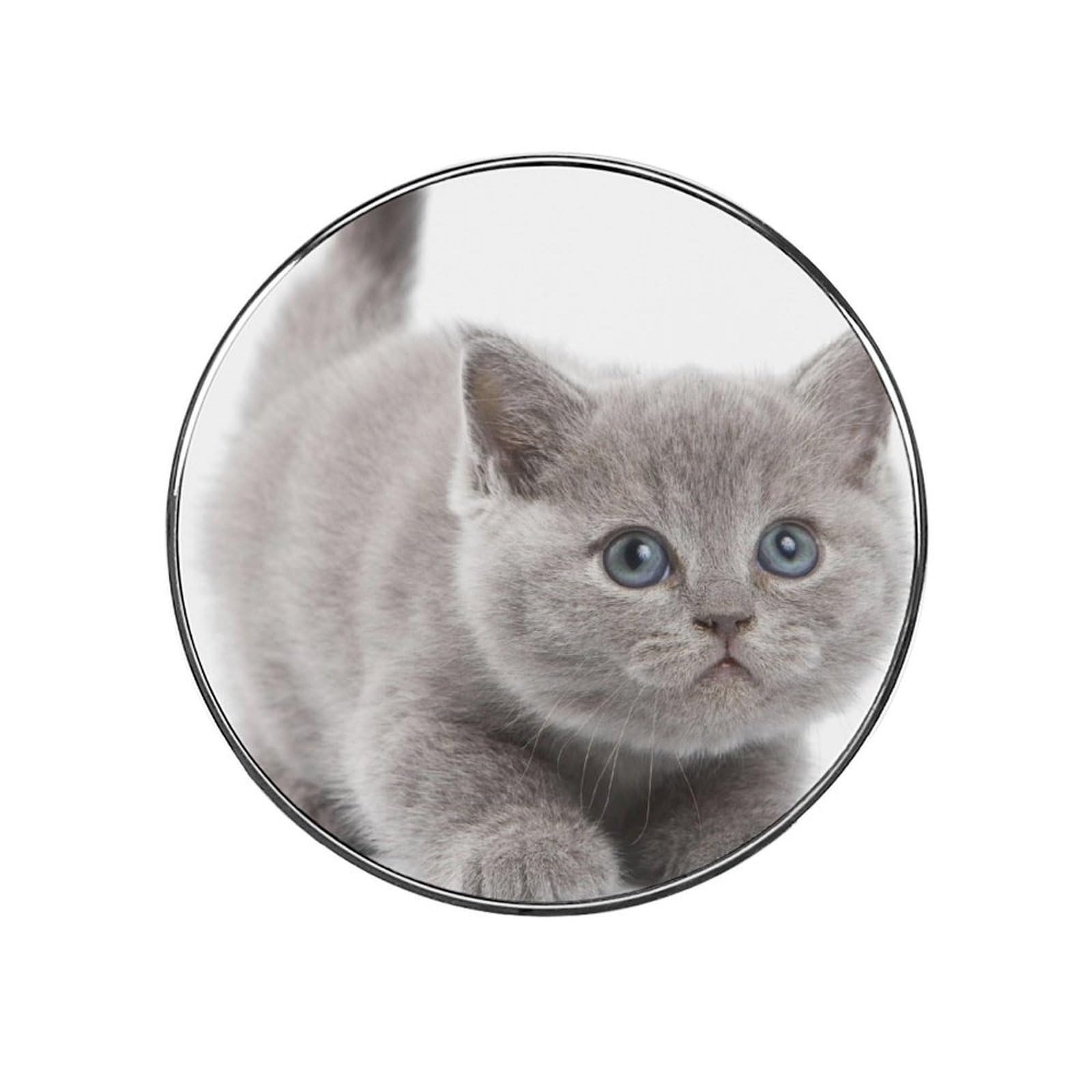 Cute Kitten Alloy Fridge Magnet For Office Cabinet Refrigerator Whiteboard Photo