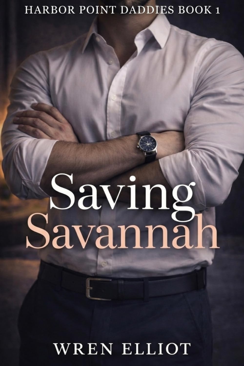 Saving Savannah (Harbor Point Daddies)