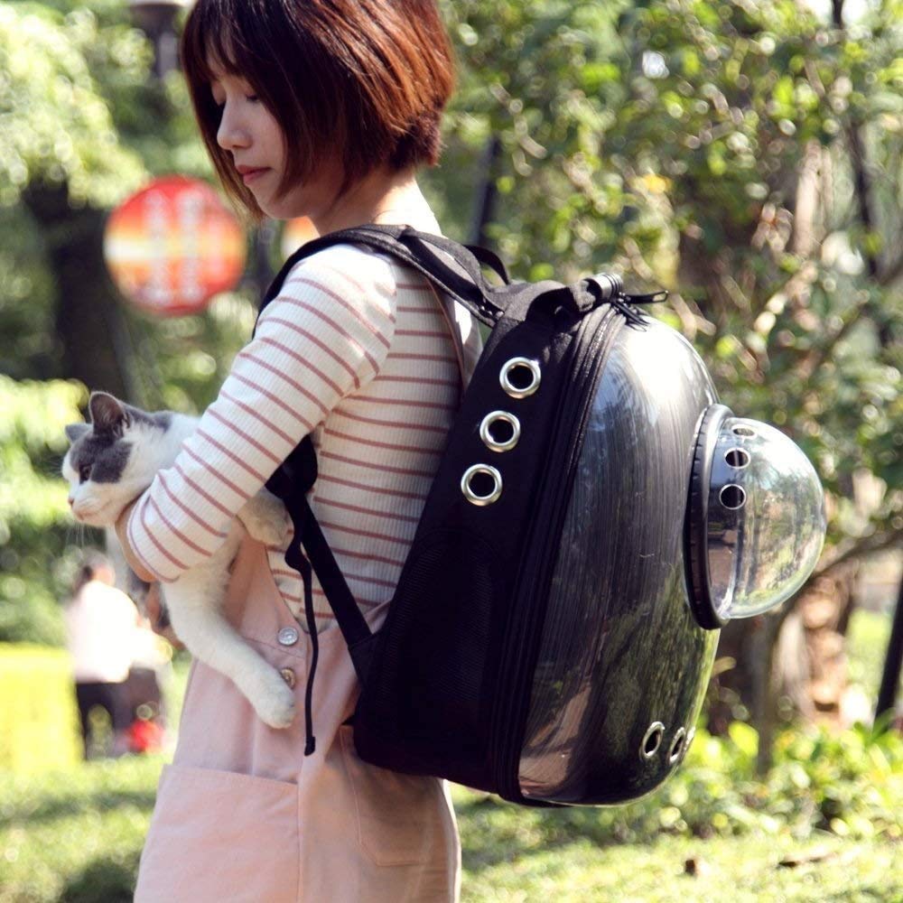 Katze Rucksack-Träger Tasche, Hundrucksack, Haustier Bubble Rucksack für kleine Katzen Welpen Hunde Hase, Airline-genehmigtes Lüfter transparentes Kapsel Rucksack
