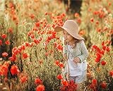 ZSDFPW Peinture par Numero Fille dans Le Champ de Pavot rougeCadeau de Peinture à l'huile de Bricolage numériquepour Enfants Adultes Peindre par Nombre Kits Home Decor40X50cm(sans Cadre)
