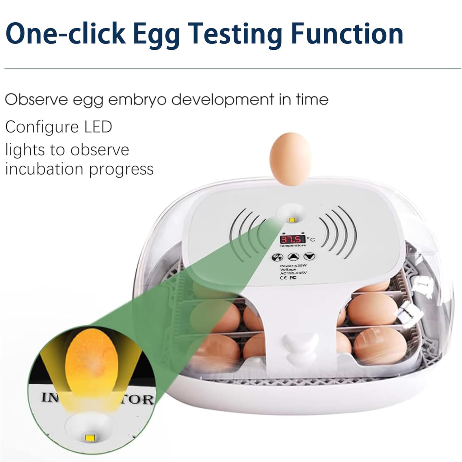 Incubatrice Automatica per Uova, Piccola Incubatrice Digitale può Contenere 16 Uova, con Girauova Automatico e Controllo della Temperatura, Candela per Uova a LED, Incubatrici per Uova