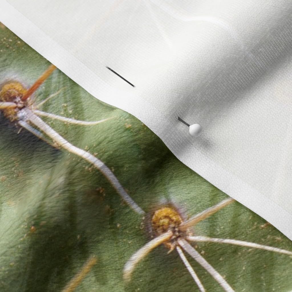 Spoonflower Fabric - Cactus Desert Southwestern Texas Wild West Green Plant Succulent Printed on Minky Fabric by The Yard - Sewing Baby Blankets Quilt Backing Plush