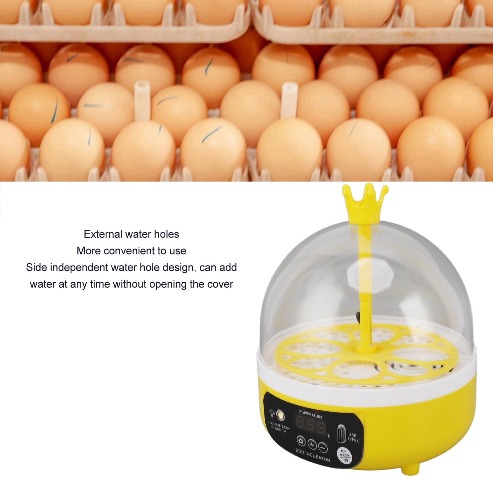 Mini incubatrice per uova con controllo automatico della temperatura, Coperchio Trasparente, Cova Multifunzionale, Alta Efficienza, Bassa rumorosità, Compatta e
