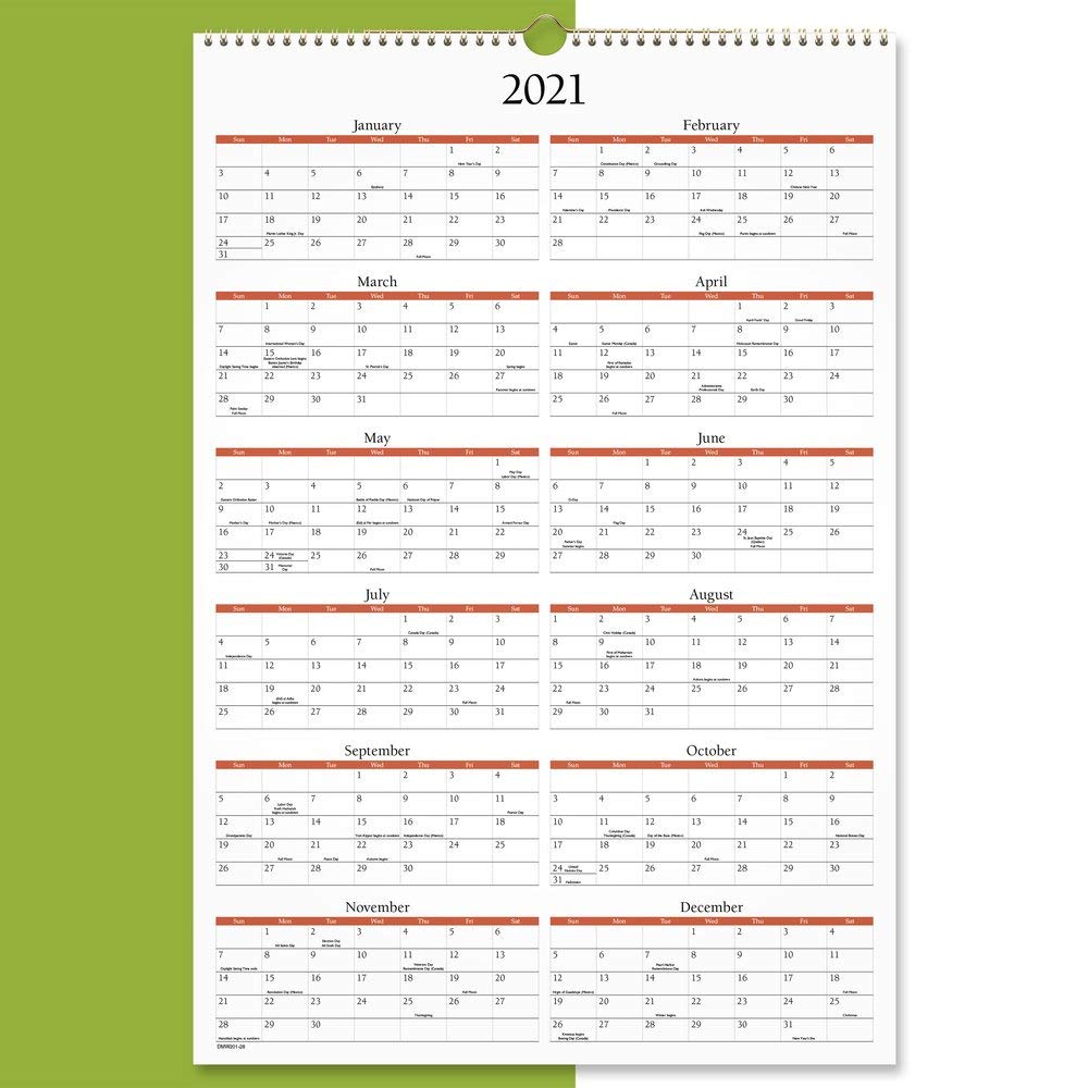 Calendario da parete 2021 di AT-A-GLANCE, 39 x 56 cm, grande, mensile, panoramico (DMW2012821)