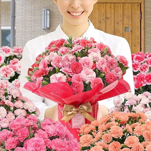 母の日 ギフト プレゼント カーネーション 5号サイズ (いちごホイップ) 5月2日～8日のお届けです