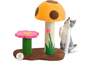 Cat Mushroom Scratching Post