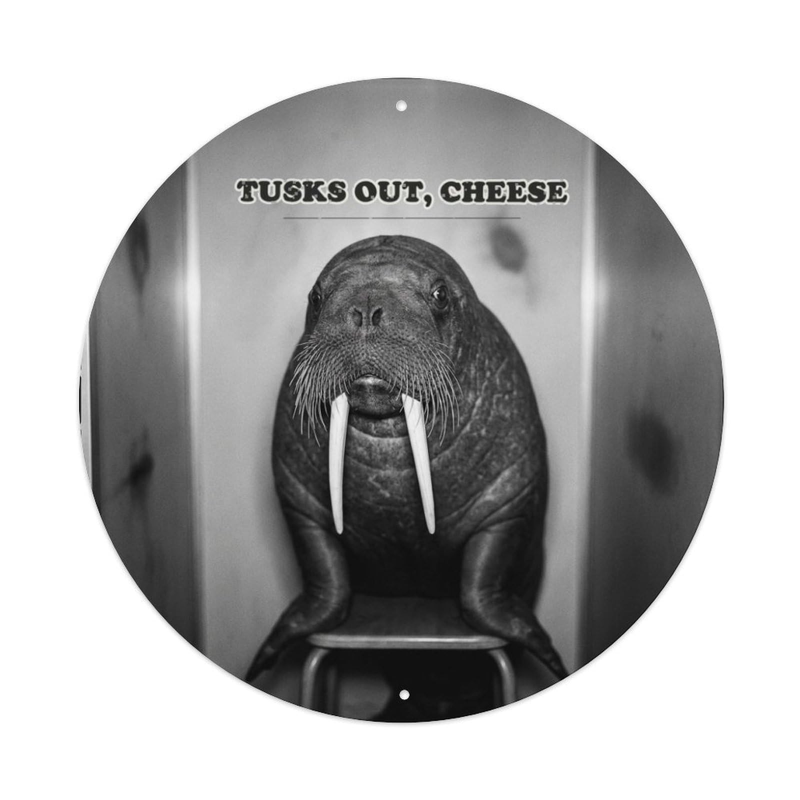Wildlife Walrus Camera Booth Comic Animal Absurd Humor Classic Metal Tin Sign Plaque Wall Decor for Cafe, Man Cave, Club Bar, Office, Home Garden Round Metal Poster 8x8Inch