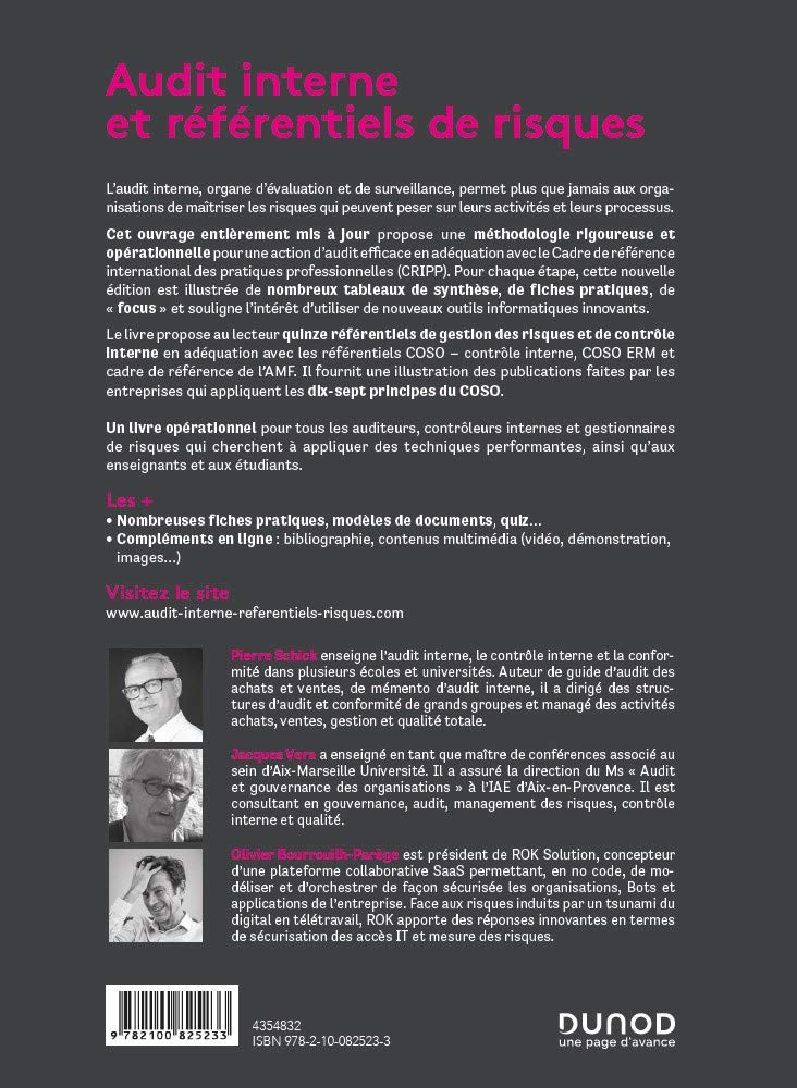 Audit interne et référentiels de risques - 3e éd. - Vers la maîtrise des risques et la performance d: Vers la maîtrise des risques et la performance de l'audit