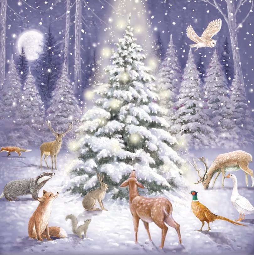 Pack Of 30 In 5 Contemporary Designs Woodland Animal Charity Christmas Cards