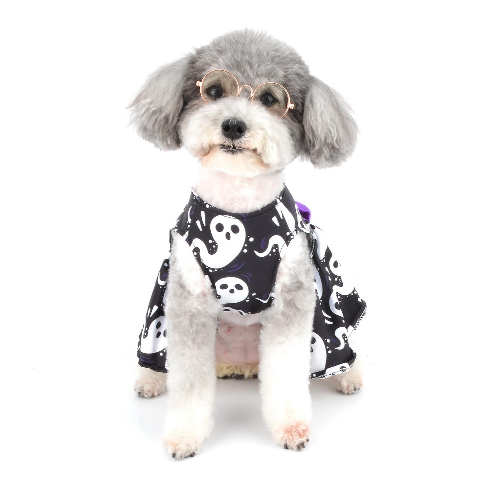 Zunea Robe d'Halloween pour petit chien, chat, fantôme, costume d'Halloween pour chiot fille – Jupe douce avec nœud papillon – Vêtements pour chihuahua, yorkshire, noir, taille L