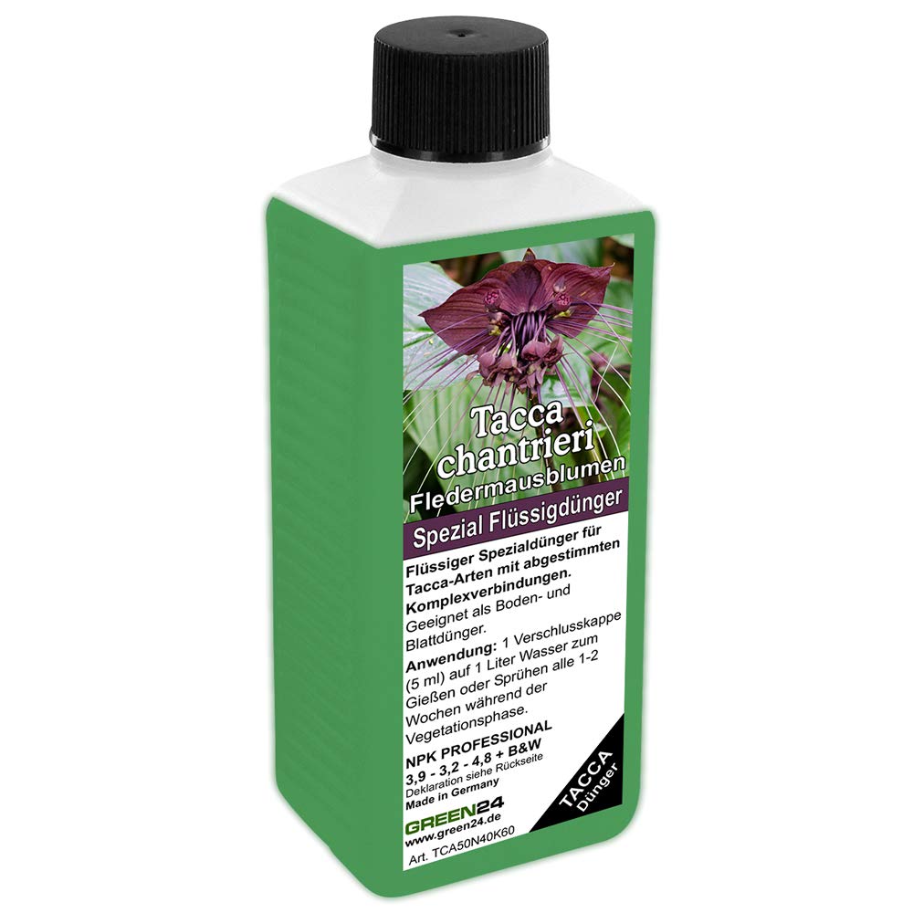 Fledermausblumen-Dnger HIGH-TECH Tacca chantrieri NPK Dngemittel fr  Fledermausblume, Teufelsblume, Fledermauspflanze, Dmonenblte - Pflanzen  dngen : Amazon.de: Garten