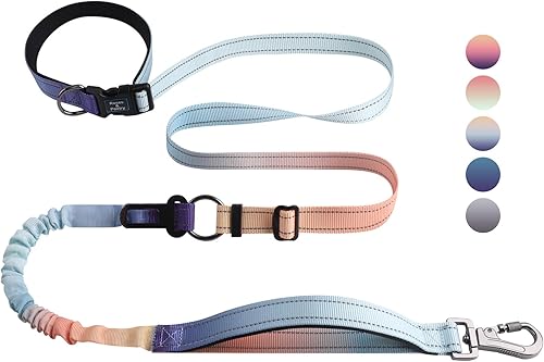 Miniatura 15 de Roses&Poetry - Correa para perro manos libres para perros medianos y grandes, resistente, sin tirón, correa elástica para correr y pasear, con