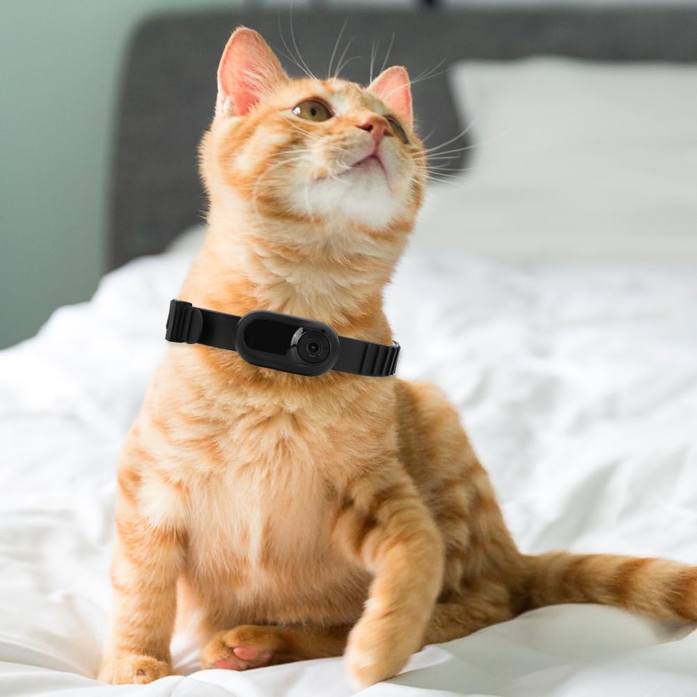 Cámara de collar para perro y gato, HD 1080P, inalámbrica, no necesita WiFi, niñera con grabaciones de video, gatos, perros, regalo de cumpleaños, cámara deportiva, (1hp1ms9ks0sa8nh1kz3)