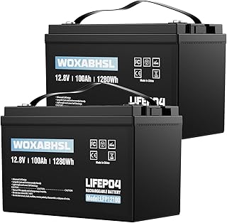 2 Pack 12V 100Ah LiFePO4 Lithium Battery, Up to 15000 Deep Cycle Group 31 Marine Battery, Low-Temp Protection, 10-Year Lifespan, Built in 100A BMS, Great for Trolling Motors, Boats, Solar, RV