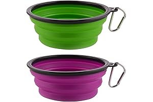 Large Collapsible Dog Bowls for Camping