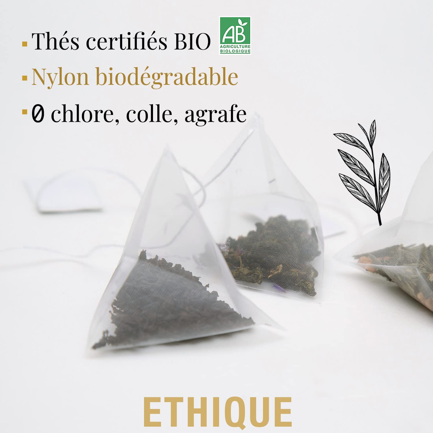 ORIGEENS COFFRET THE BIO L'Essentielle | Assortiment de 6 Grands Thés, 48 sachets pyramide | Idée Cadeau