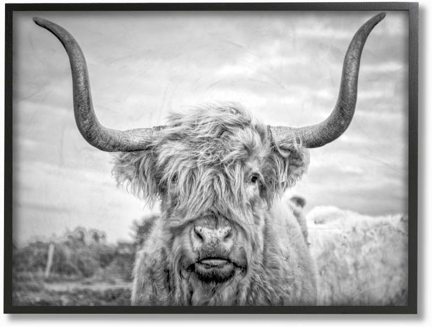 Stupell IndustriesBlack and White Highland Cow Photograph Framed Giclee Art Design By Joe Reynolds, 16.00" x 20.00"