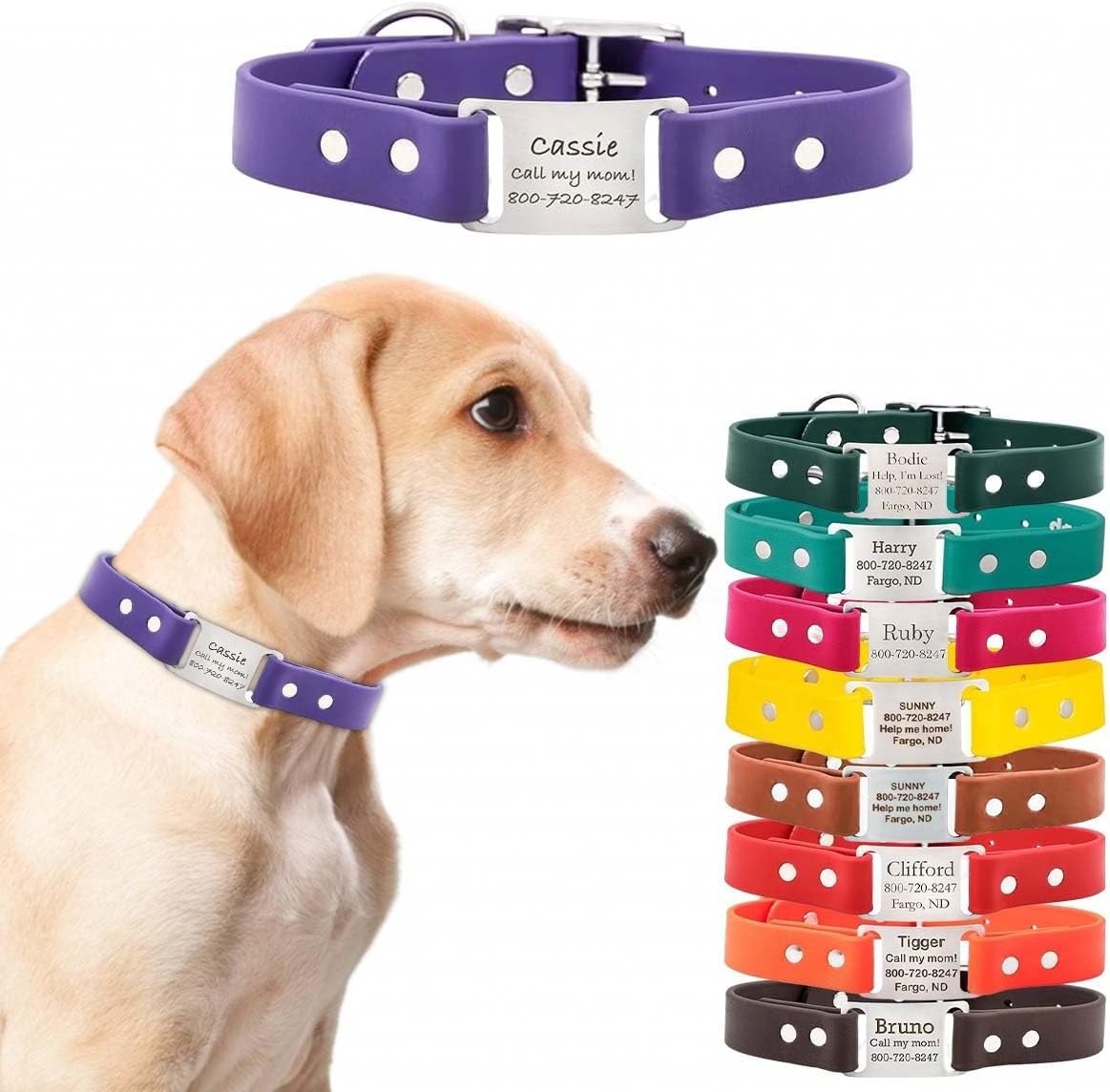 dogIDs Personalized Dog Collar – ScruffTag Custom Waterproof Biothane Dog Collar with Laser-Engraved Name, Durable & Odor-Resistant – USA Made |