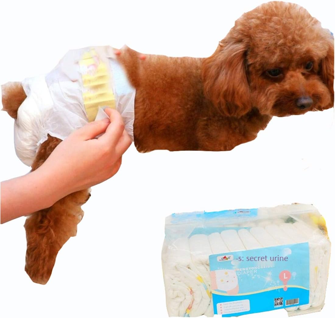 Amazon Co Jp 子犬犬おむつ使い捨て女性犬おむつ10枚吸水犬生理用ナプキン犬おむつパンツ ペット用品 Amazon Co Jp 子犬犬おむつ使い捨て女性犬おむつ10枚吸水犬生理用ナプキン犬おむつパンツ ペット用品