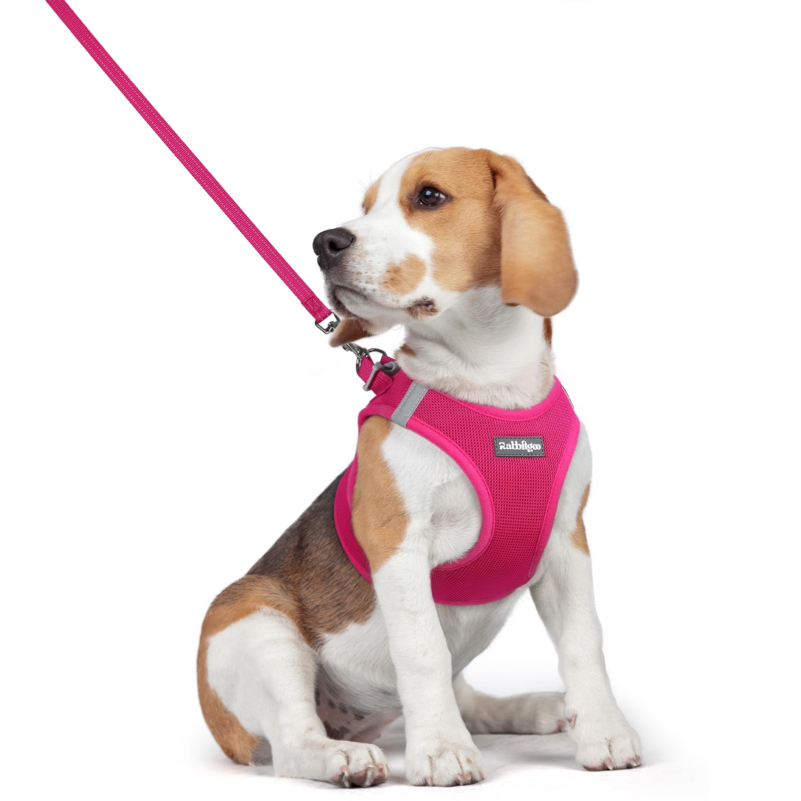 rabbitgoo Dog Harness Small Dog and Leash Set, Step-in Soft Mesh Puppy Harness with Reflective Strips, Lightweight Breathable Pet Vest for Walking Training, Hot Pink, L