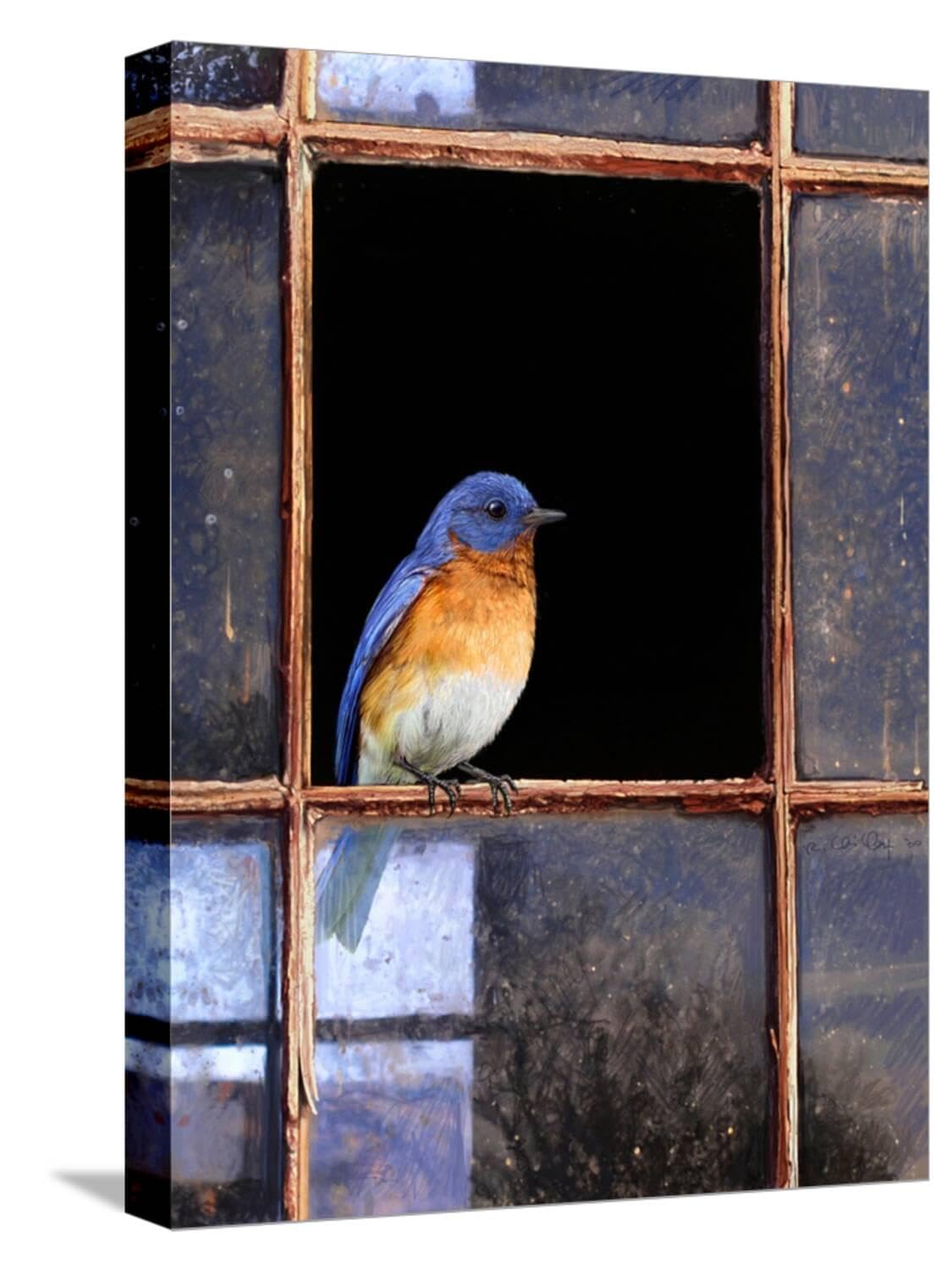 art.com stretched canvas print bluebird window by chris vest, 12" x 16"
