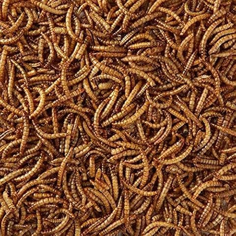 MALTBY'S STORES 4KG WILD BIRD DRIED MEALWORMS WILD BIRD FOOD Cover