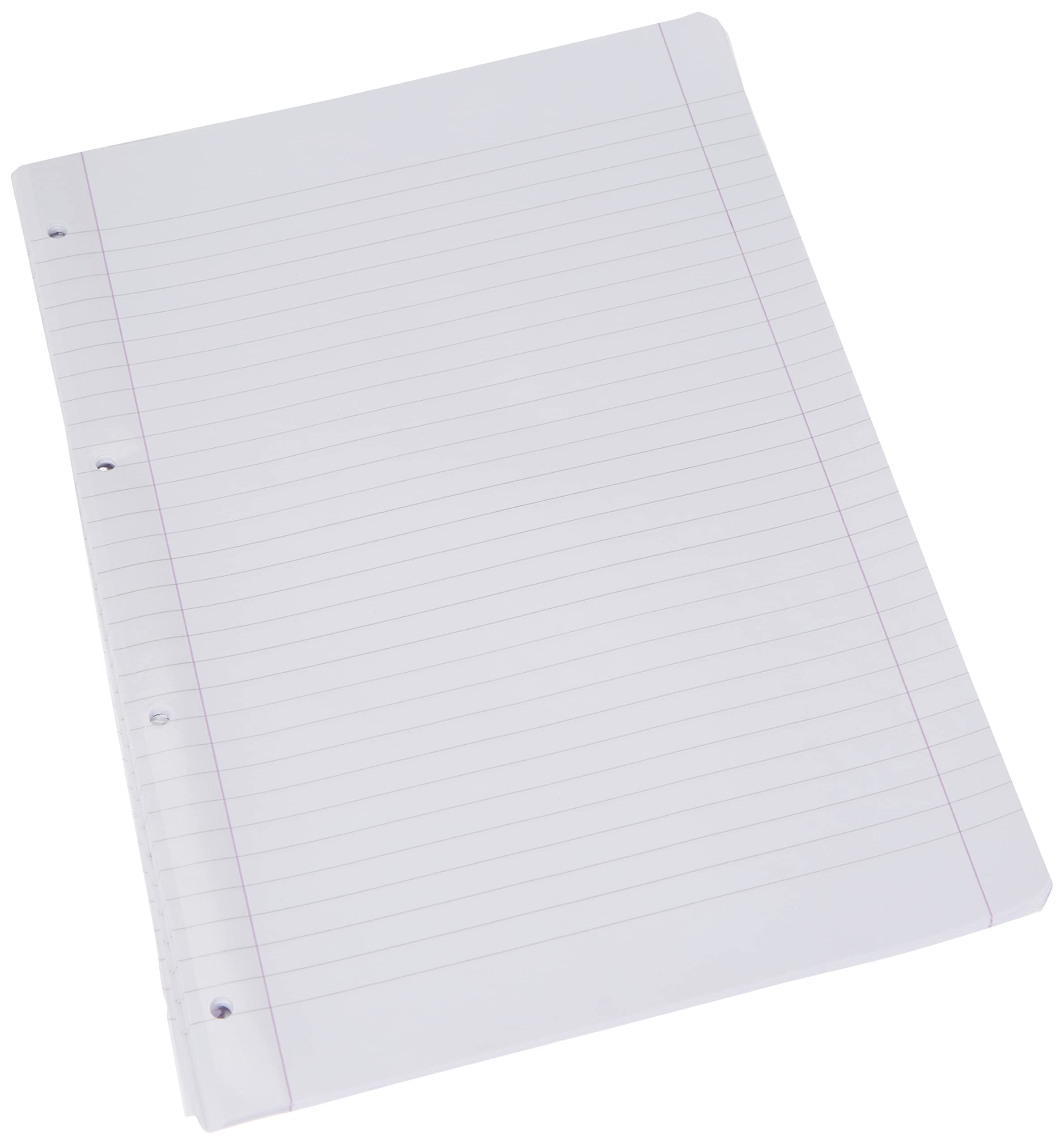 Pigna Fogli A4 21x29,7 con 4 fori per archiviazione, Confezione da 40 Ricambi, righe con margine