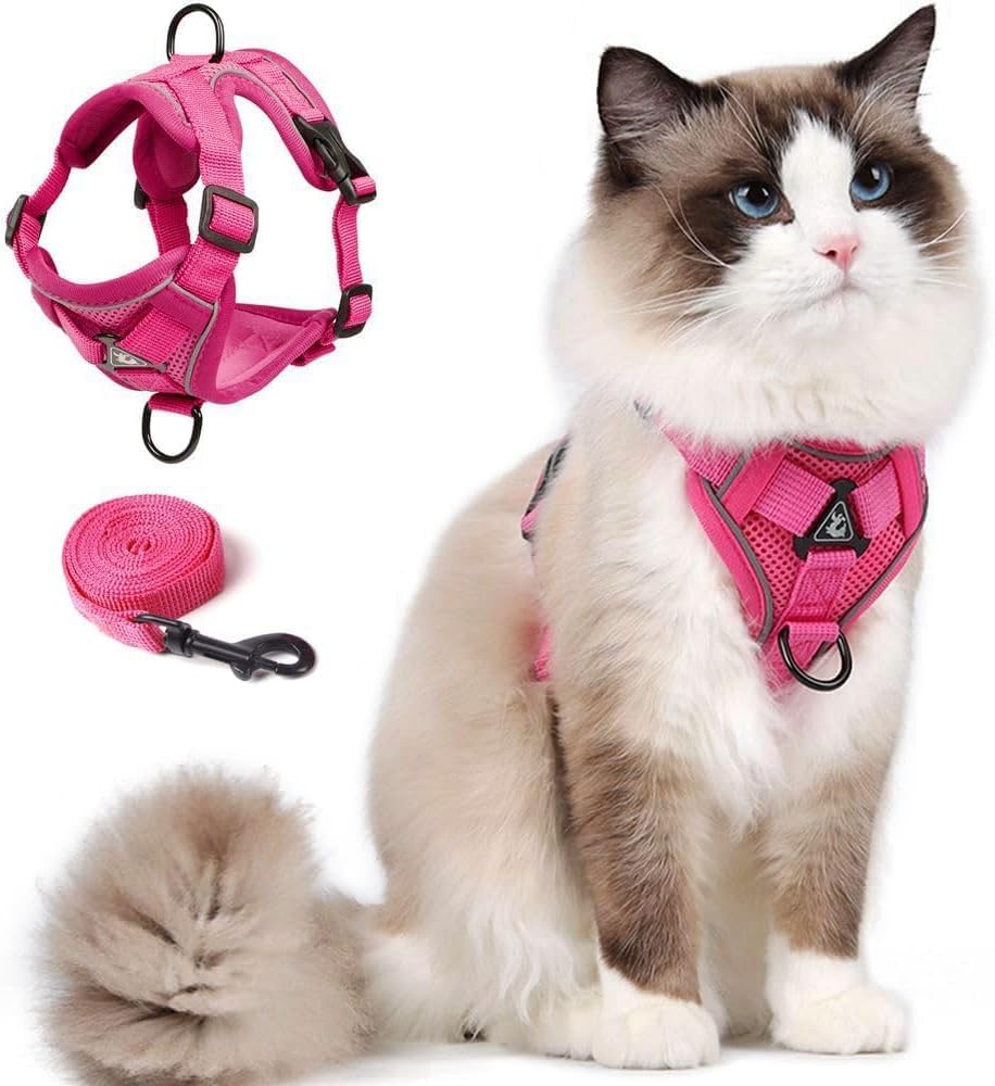 Pet Supplies Skmeditec Cat Harness and Leash Set Upgraded Escape
