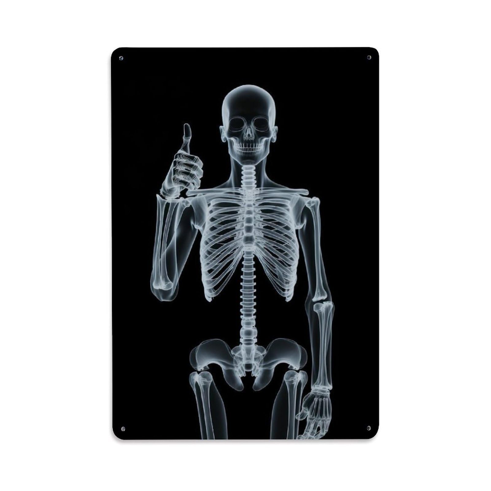 Skeleton Anatomy Medical Illustration Xray Human Vintage Metal Tin Sign Plaque Wall Decor for Cafe, Man Cave, Club Bar, Office, Home Garden Round Metal Poster 8x12Inch
