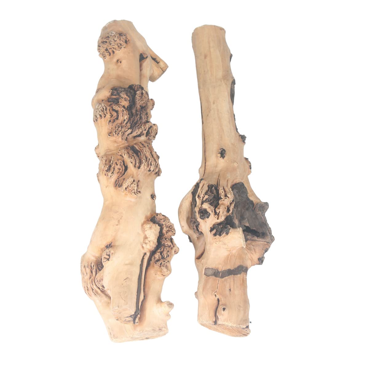 emours Reptile Décor Natural Forest Branch Terrarium Wood Aquarium Ornament (1.6-2.4inch（Pack of 2）)