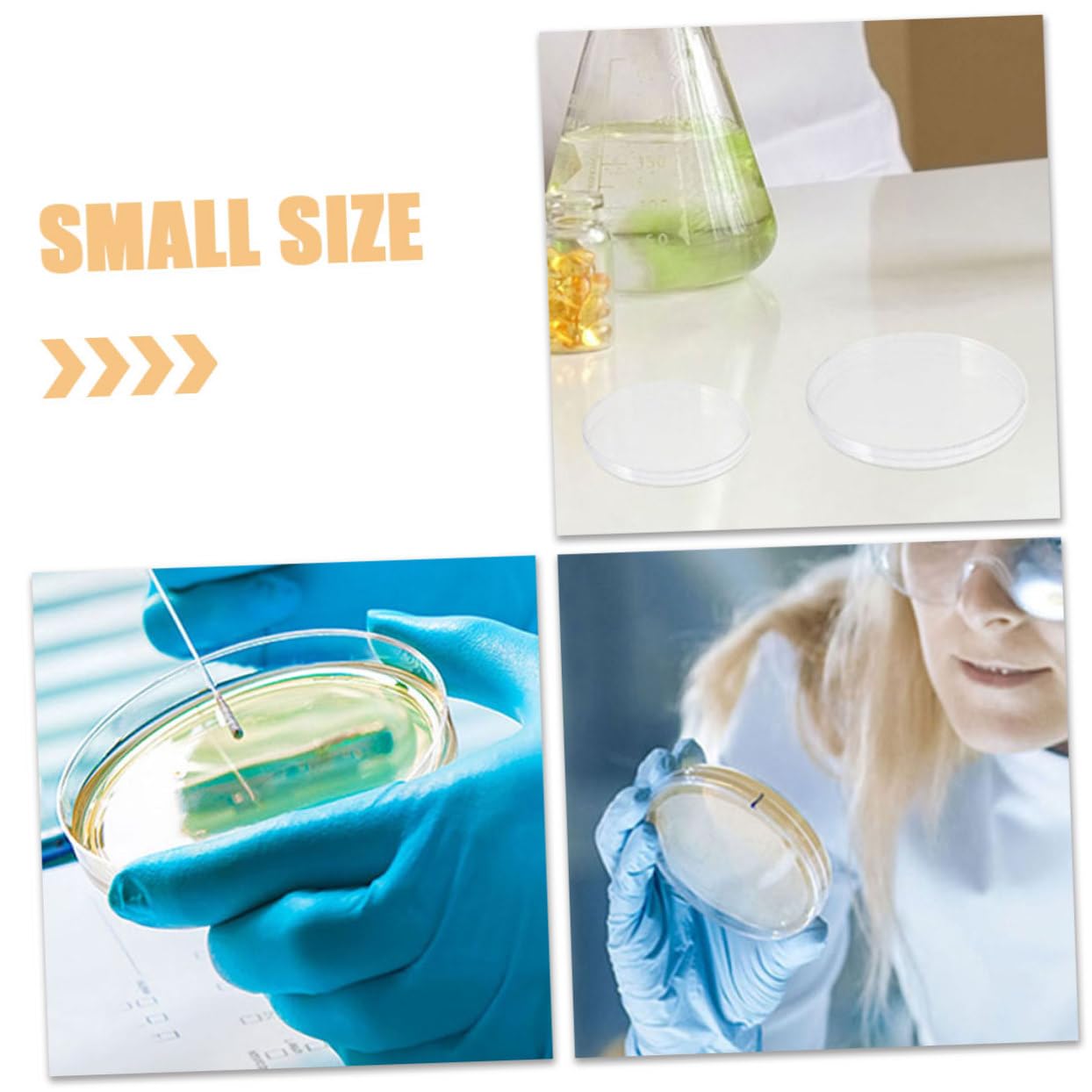 Zerodeko Placa De Petri De Plástico Placas De Tejido Celular Placa De Petri Para Química De Laboratorio Placas Para Muestras Soporte Para Placa De Petri Placa 10 piezas x 4