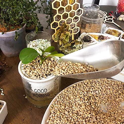Image of 7lb Maifanitum Stones for Succulent Cactus Bonsai Decorative Rocks-Indoor Plants Soil Covers,Horticultural Gravel, Potting Pebbles for Terrarium, Fairy Gardening, Top Dressing