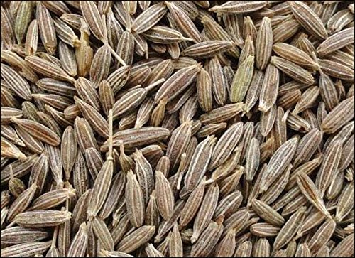 Cumin Seeds Whole - 5.01 lb