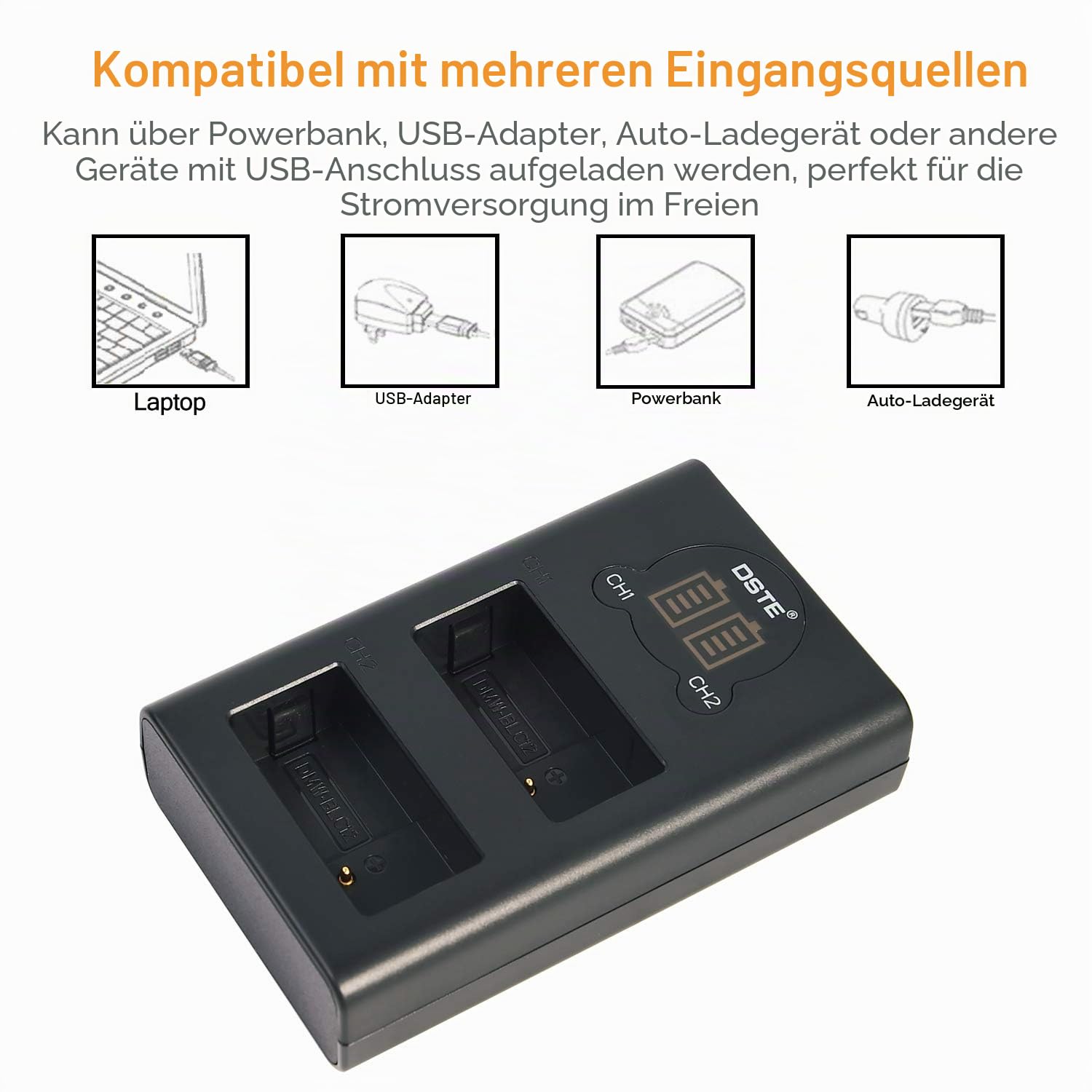 DSTE® DMW-BLC12 DMW-BLC12e Akku + Dual USB Schnellladegerät Kit für Panasonic Lumix DMC-GH2 DMC-FZ330 DMC-FZ200 DMC-FZ200GK DMC-FZ1000 V-LUX4 Leica Q Kameras wie DMW-BLC12PP BP-DC12 Sigma BP-51