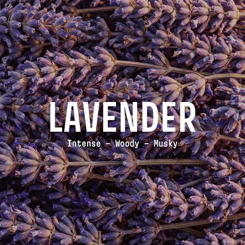 Image of Panier des Sens New Lavender Liquid Hand Soap, 16.9 fl oz | Premium French Liquid Hand Soap | Savon de Marseille Soap | 97% Natural Ingredients | Gentle Daily Cleansing