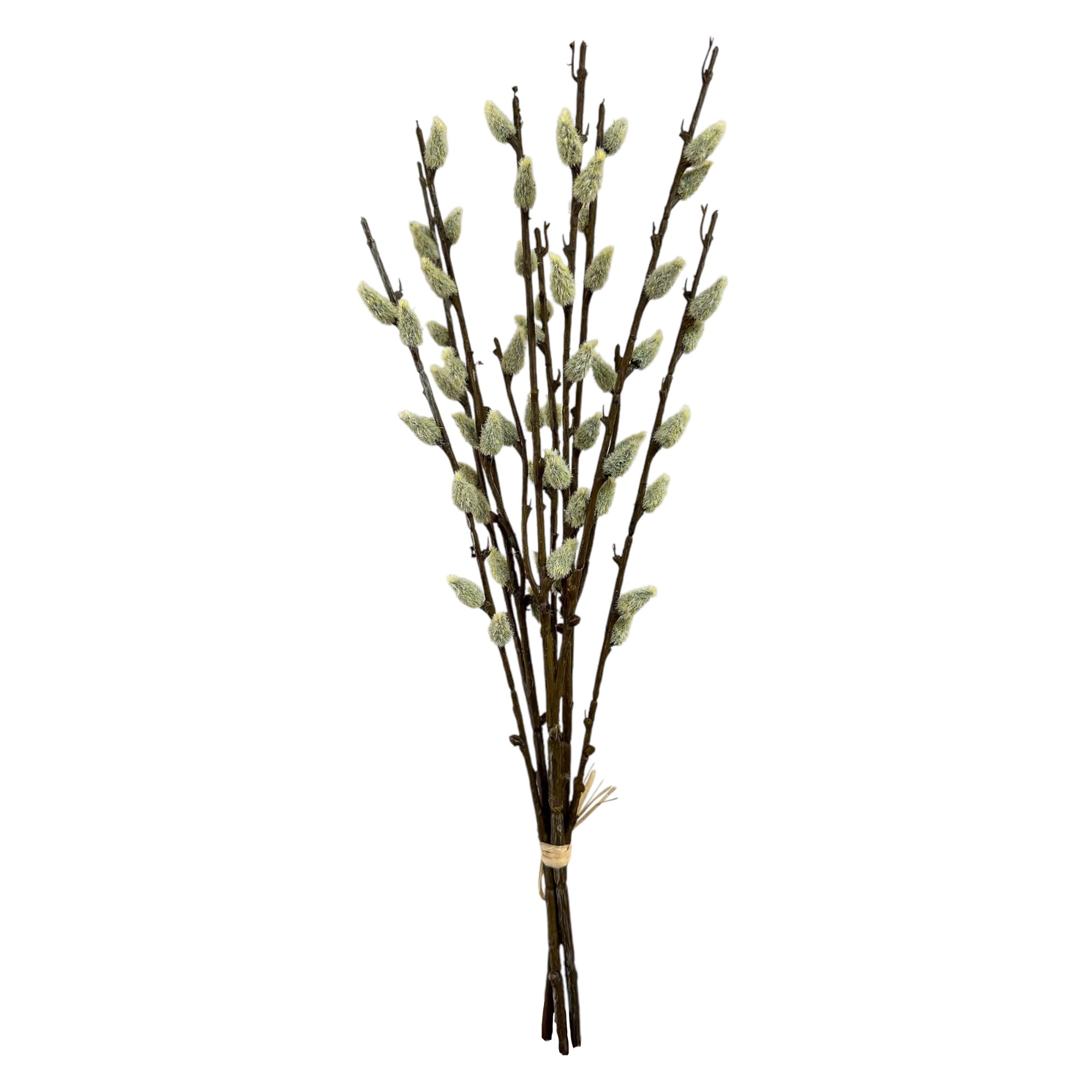 Künstlicher Weidenkätzchen-Bund 42 cm – Palmkätzchen Zweige für Frühlingsdekoration & Osterdeko – Deko Zweige für Vase & Kranz