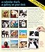 Dog Gallery 2015 Calendar
