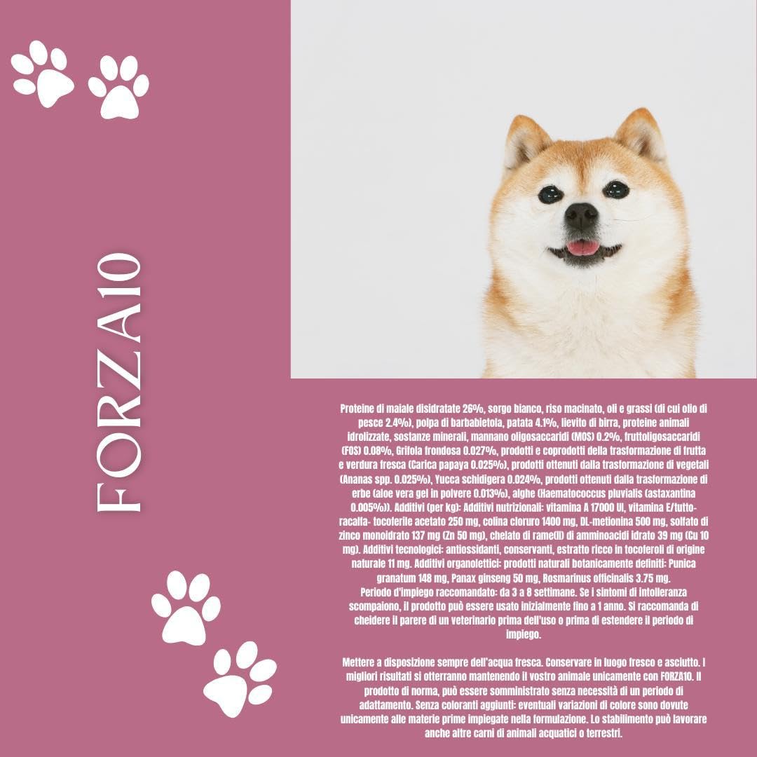 Forza 10 Perro pequeño/Mini Adult Mono sabor cerdo alimento completo monoproteico para perros adultos de talla pequeña, hipoalergénico, sensible digestión, paquete de 1,5 kg.